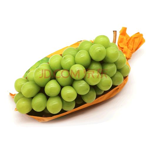 晴王葡萄 整串无籽青提提子阳光玫瑰香甜新鲜水果 2500g